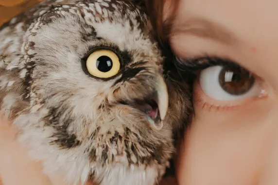 BoaBoa Casino Stuðningur